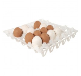 AMB HACCP kompatibilis tojás tartó, 30 db-os